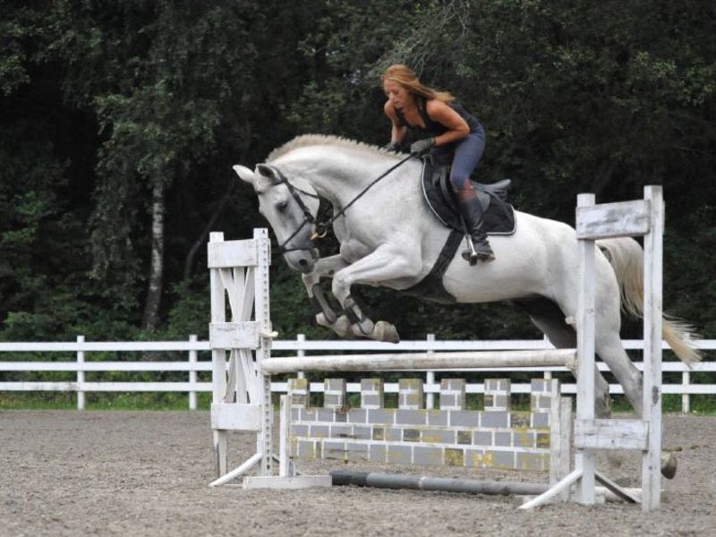 Reitanlage Gut Drasing