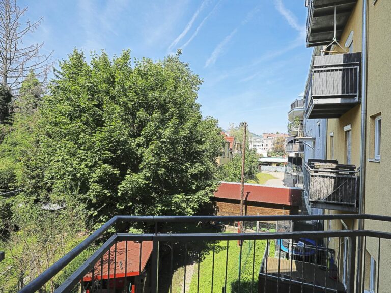 Anlageobjekt – Fünf Anleger – Altbau –  Wohnungen  teilweise vermietet in Graz