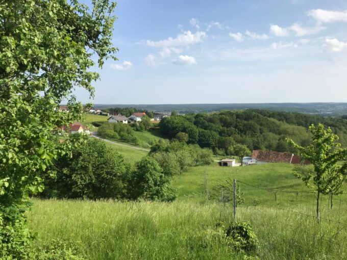 Ausblick von Oben — IMMOXX. Immobilien Graz