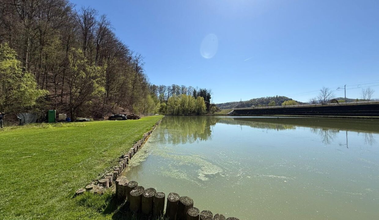 Teich II