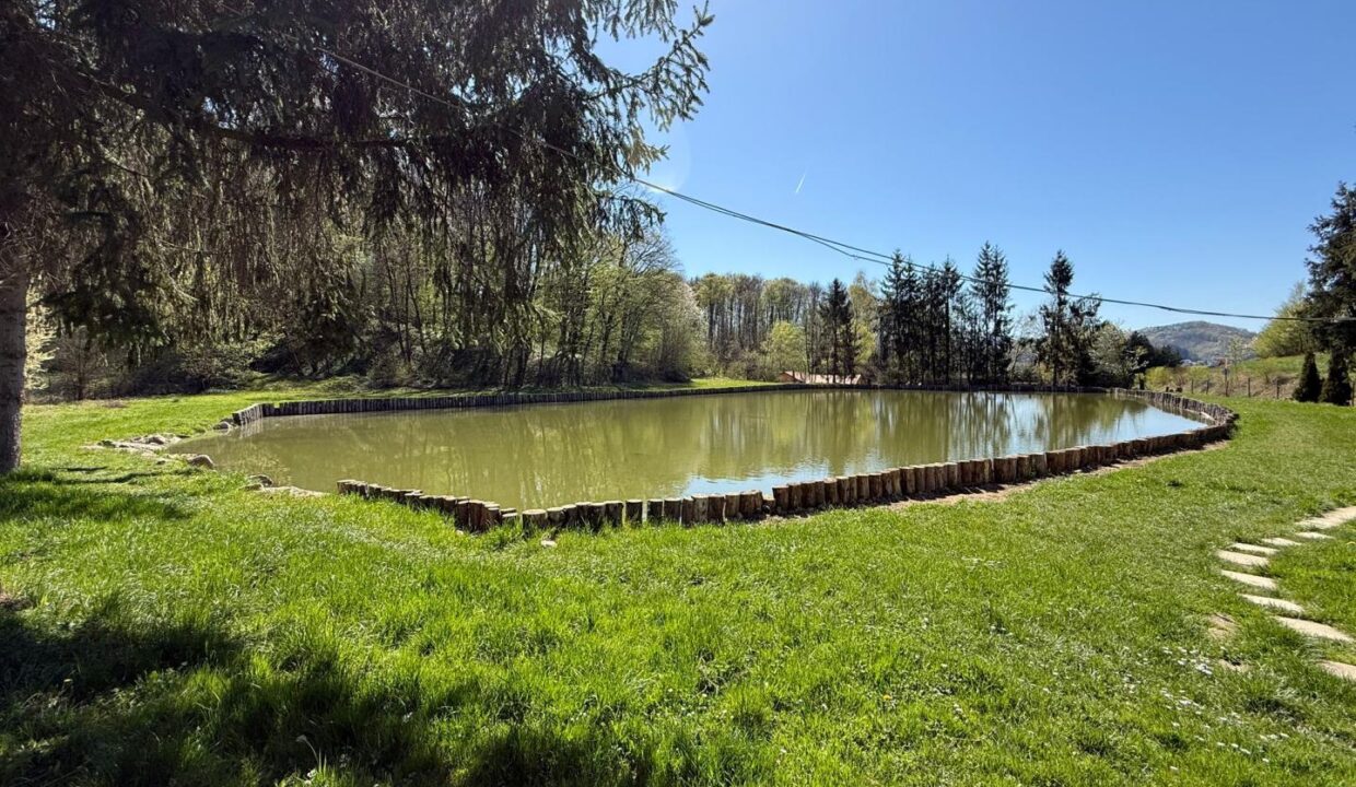 Teich I
