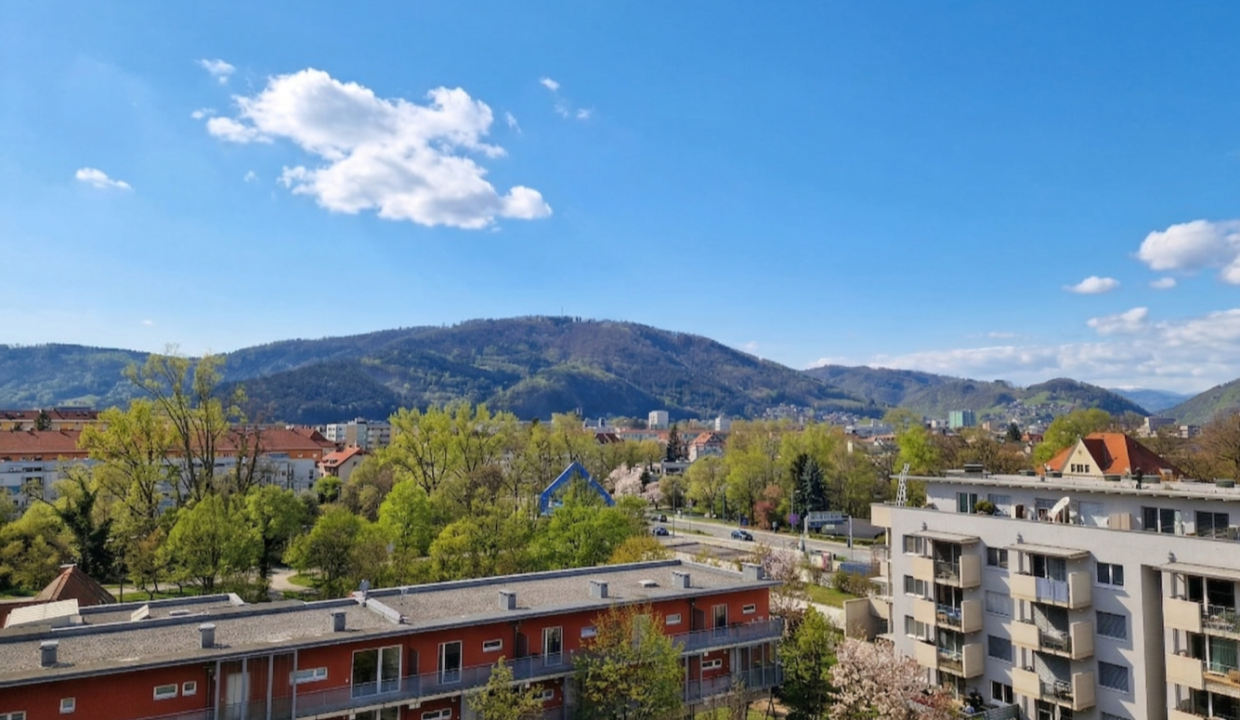 Ausblick