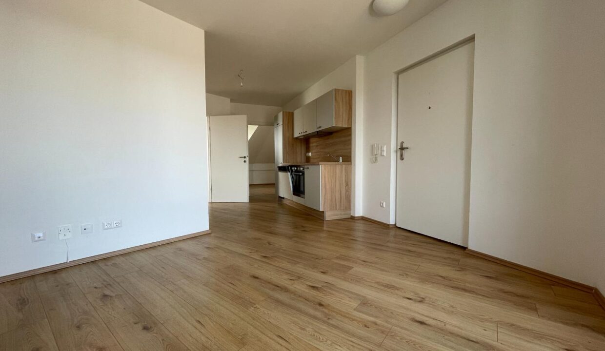 Wohn-Esszimmer