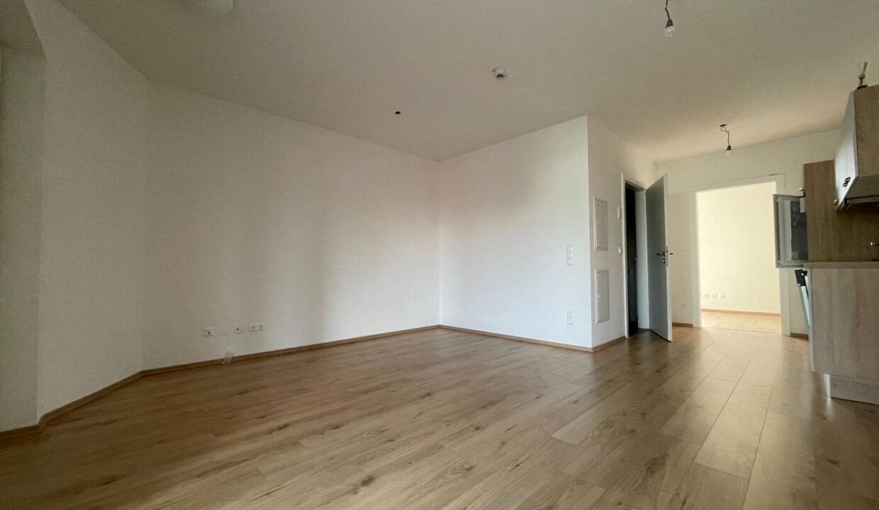 Wohn-Esszimmer