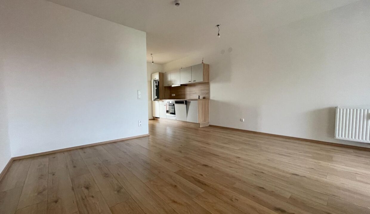 Wohn-Esszimmer