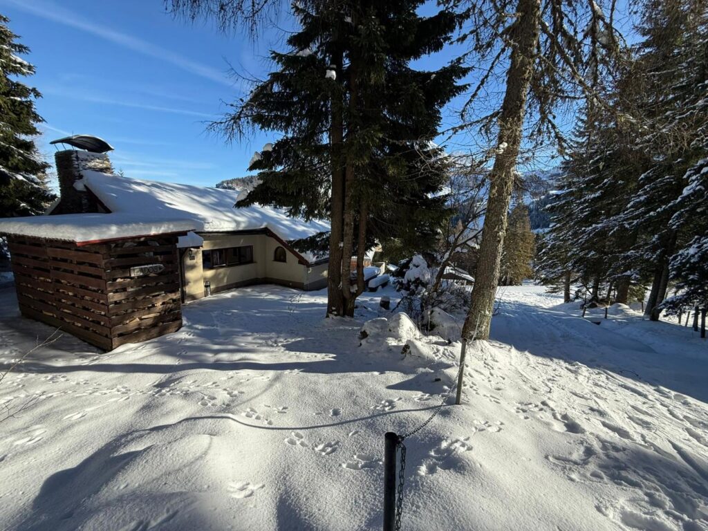 Ski-in/Ski-out-Chalet am Nassfeld – alpines Freizeitjuwel an der Piste – Bild 3
