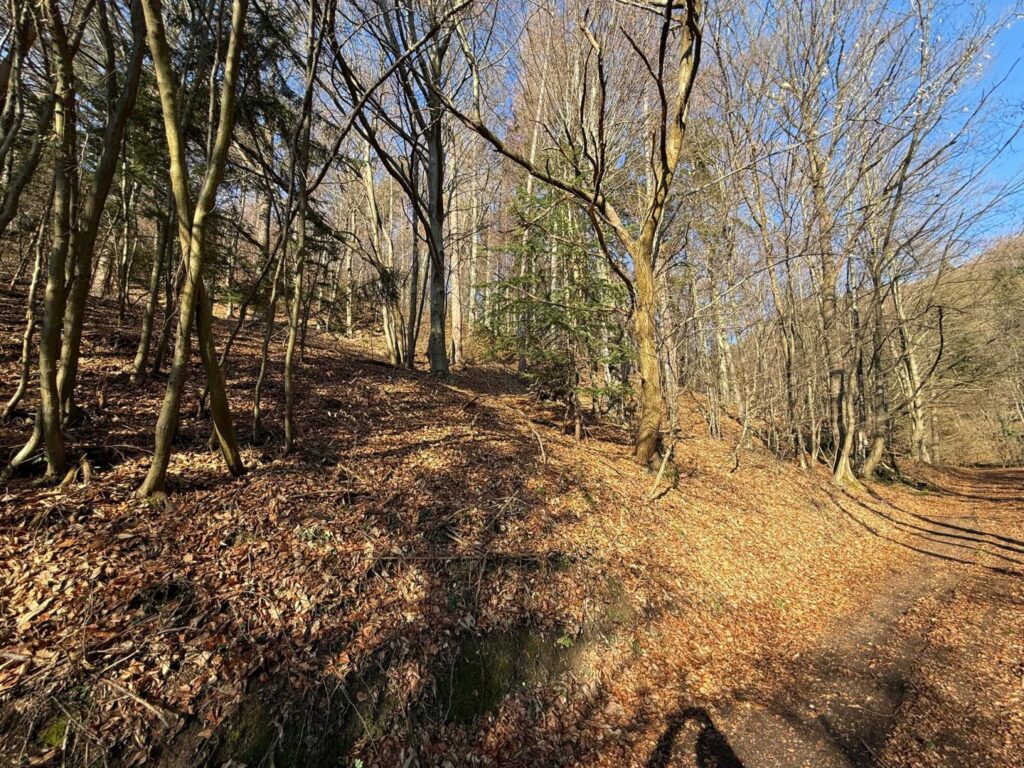 Wald – Bauernhaus, 8051 Thal