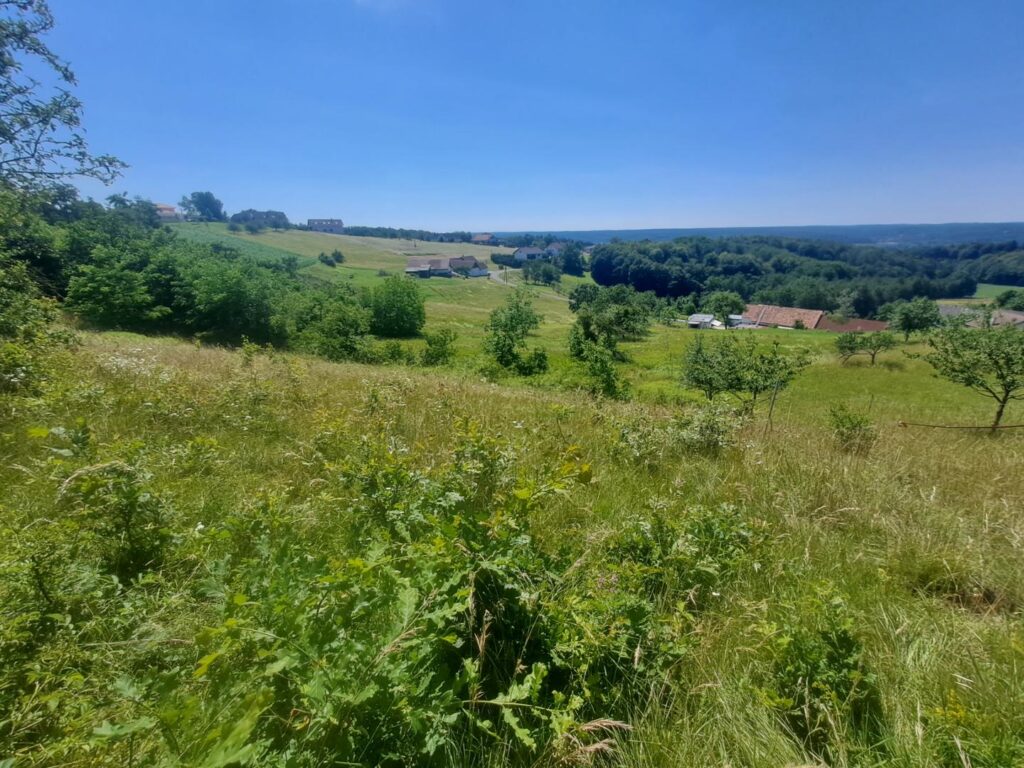 Traumhaftes Sonnengrundstück mit Panoramablick in Mogersdorf – Ihr Platz für Freiheit, Natur und neue Lebensideen