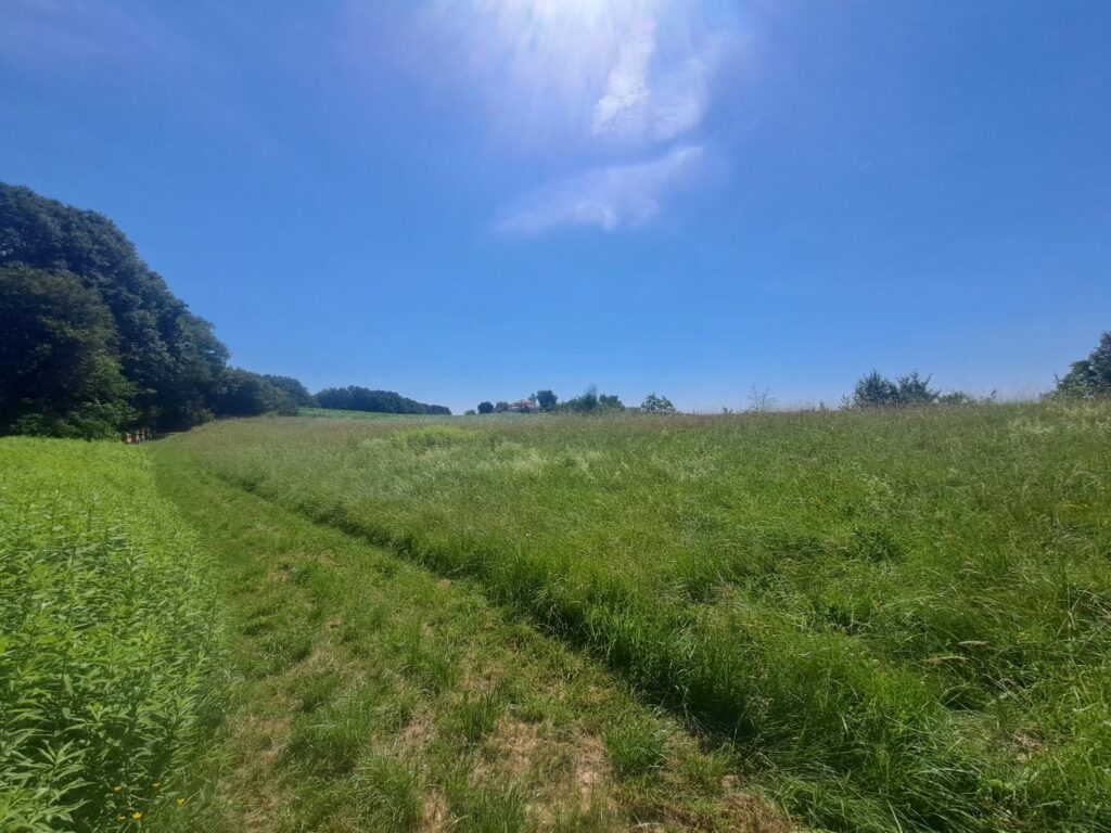 Grundstück, 8382 Mogersdorf – Bild 5
