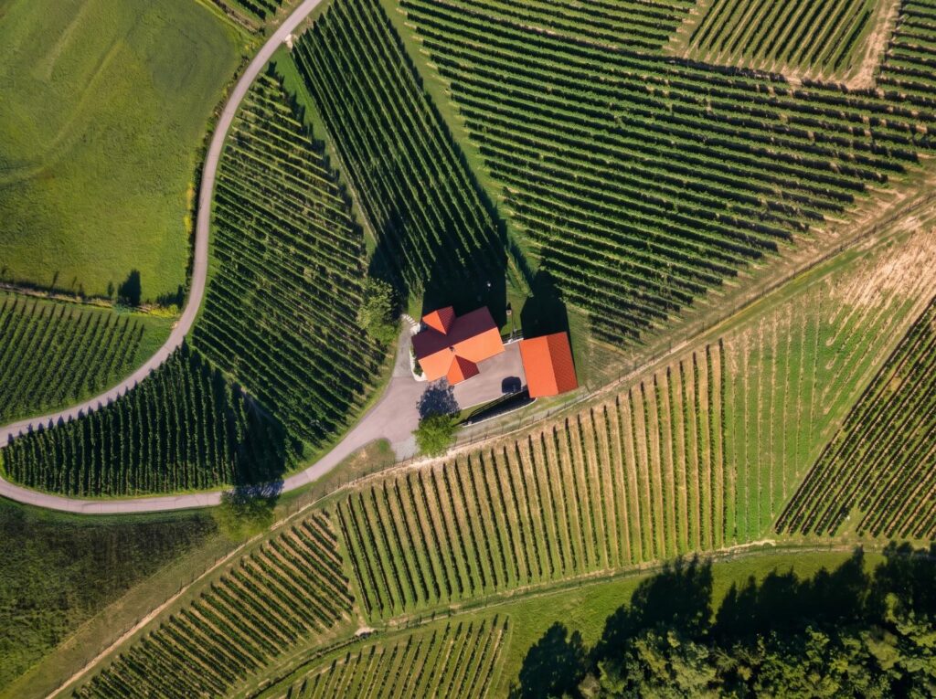 Neuwertiges Landhaus in Alleinlage — mit 2,2 ha eigenen Weingärten – Bild 2