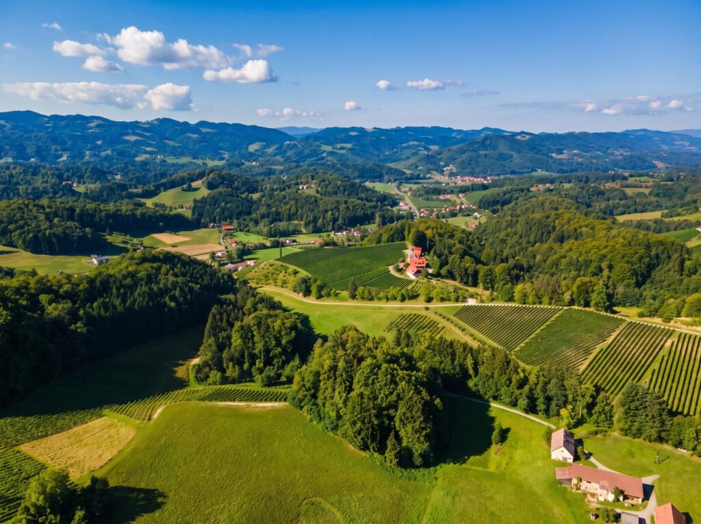 Neuwertiges Landhaus in Alleinlage — mit 2,2 ha eigenen Weingärten – Aussicht