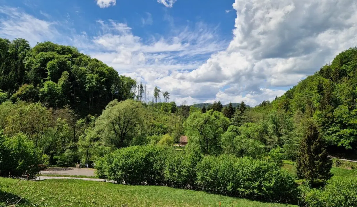 Ausblick