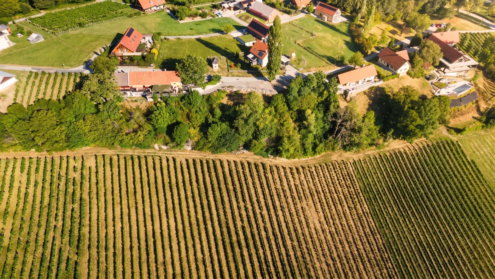 Erste Reihe an der Weinstraße: Winzerhaus plus Baugrund – Es gibt Orte, die man nicht kauft. Man übernimmt sie.
