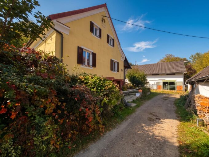 Einfamilienhaus St. Margarethen an der Raab – Ein Paradies für Pferdeliebhaber – Exklusive Alleinlage inmitten…