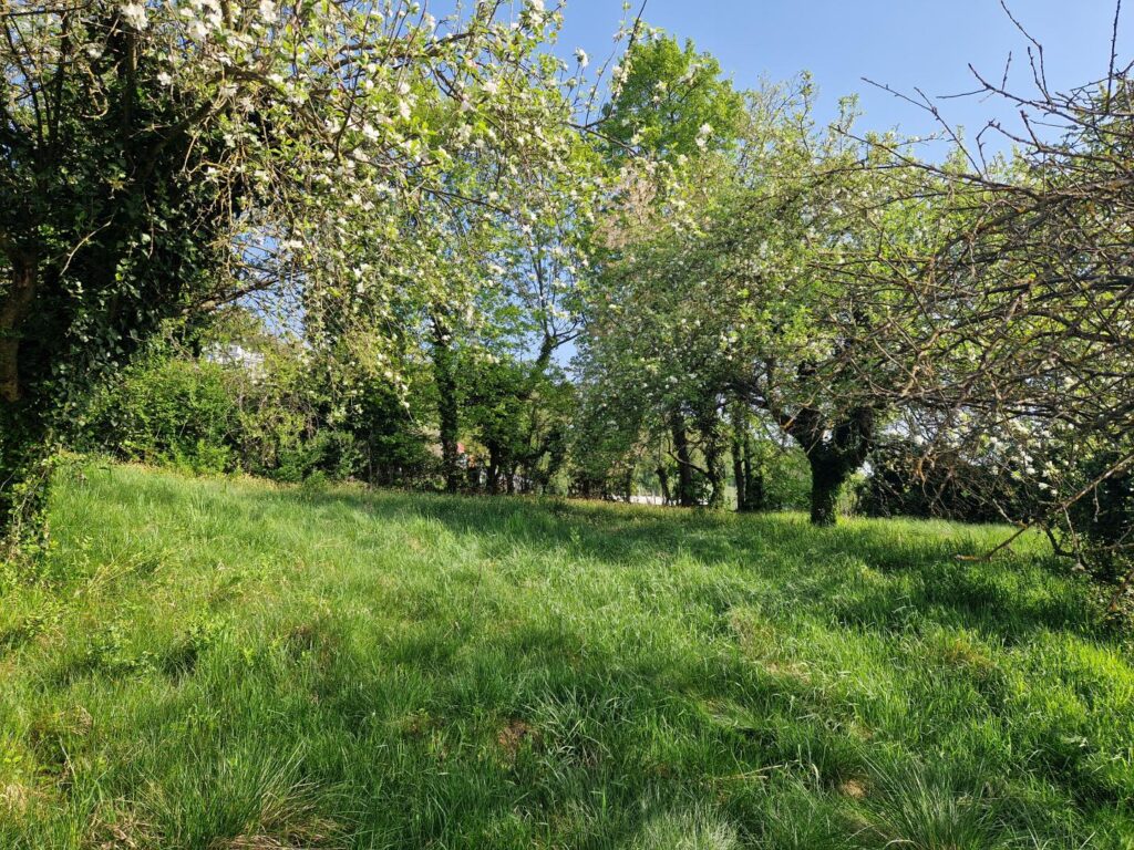 Garten – Mehrfamilienhaus, 8230 Hartberg